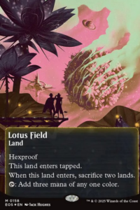 Lotus Field